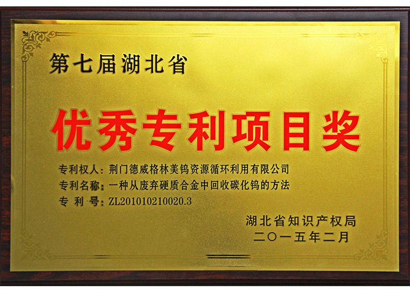 27.湖北優(yōu)秀專利項目獎.png