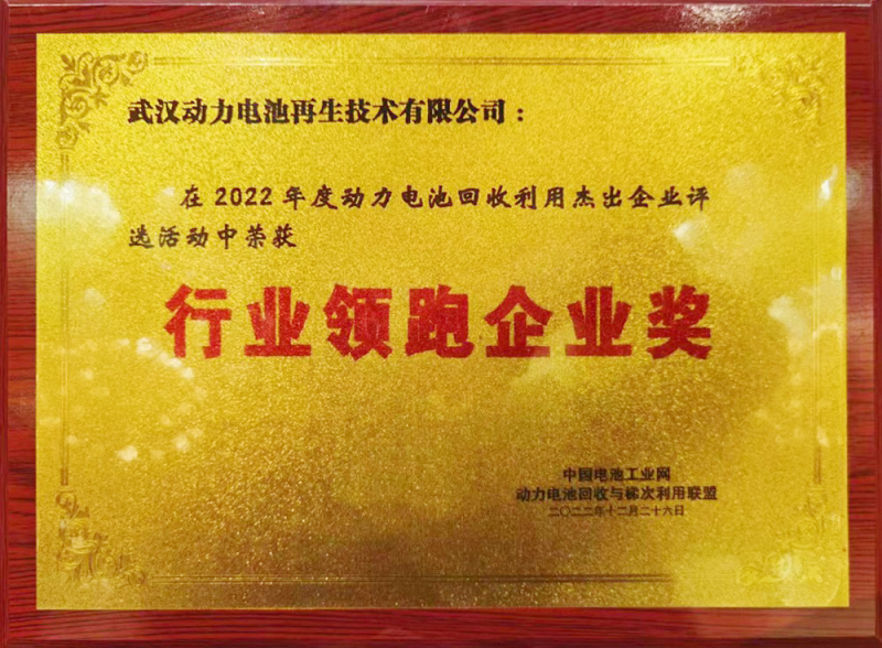 行業(yè)領(lǐng)跑企業(yè)獎.png
