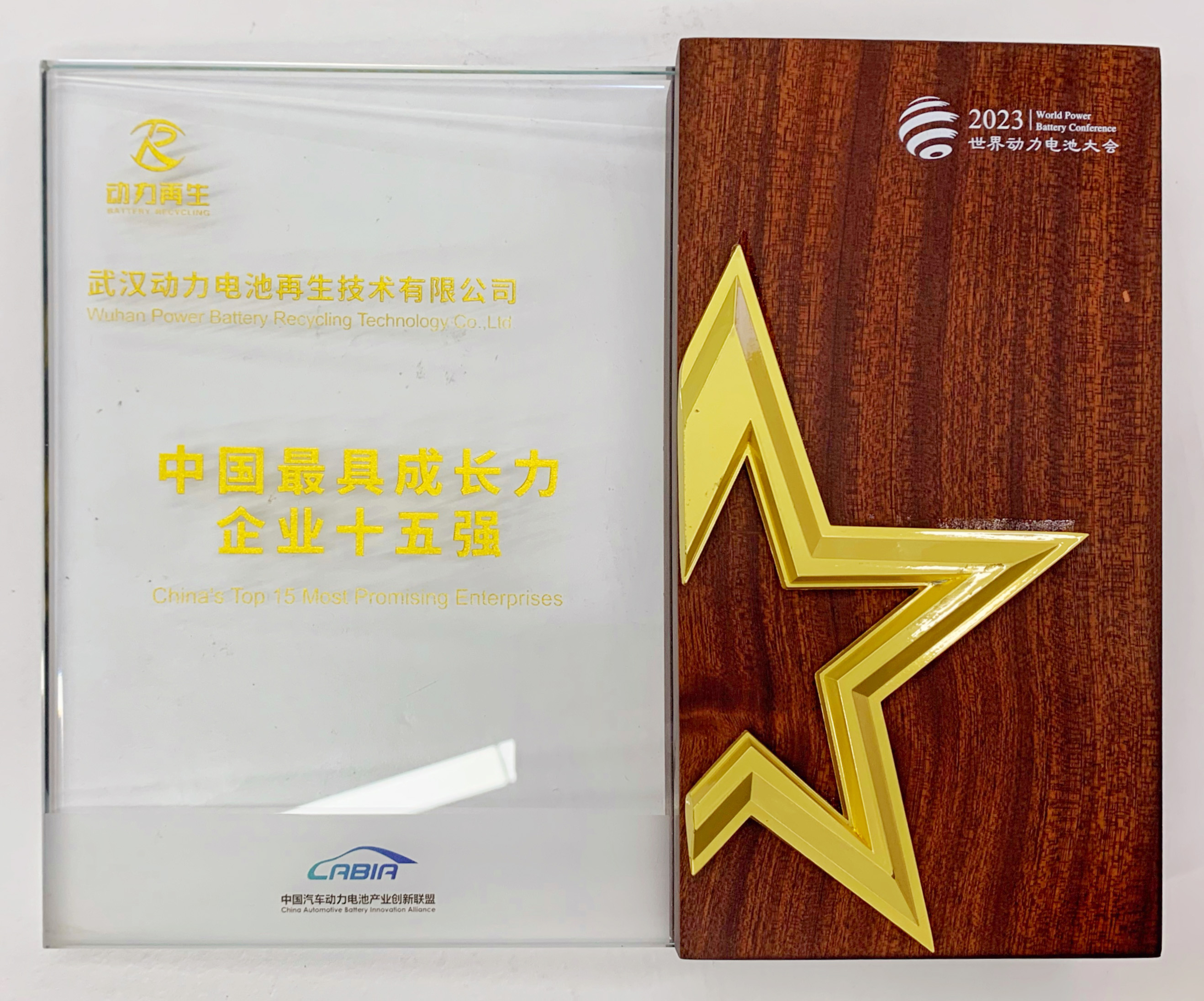 中國最具成長力企業(yè)十五強.jpg